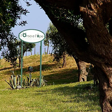 Bauernhof L'orso E L'ape Giulianova