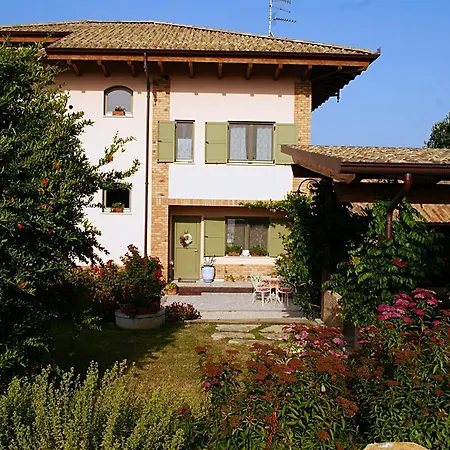 L'orso E L'ape Giulianova