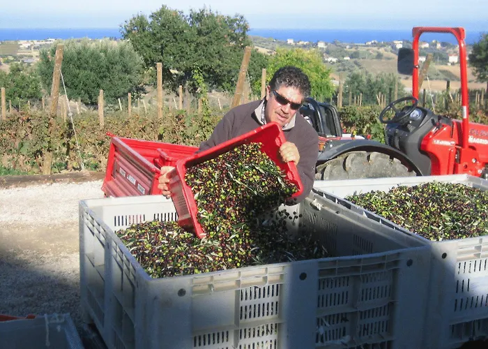 Farm stay L'orso E L'ape