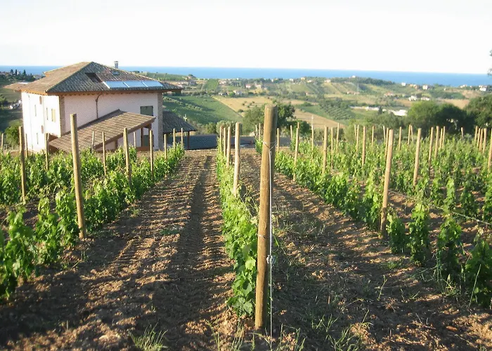 Farm stay L'orso E L'ape Giulianova