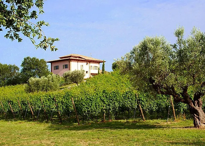 Farm stay L'orso E L'ape *