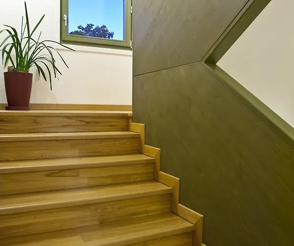 L'orso E L'ape * Giulianova