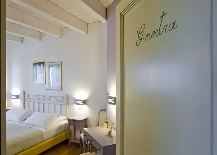 L'orso E L'ape Giulianova