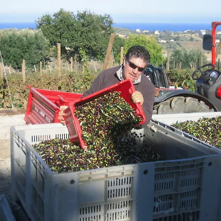 Farm stay L'orso E L'ape