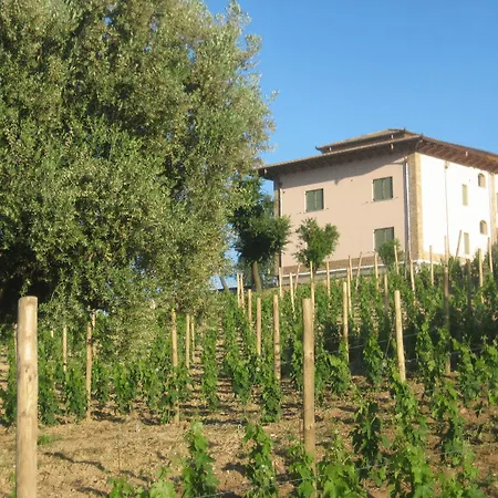 Farm stay L'orso E L'ape Giulianova