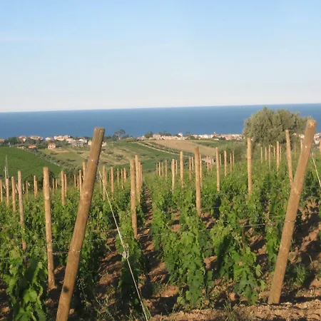 Farm stay L'orso E L'ape *