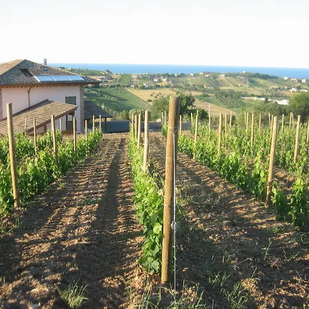 Farm stay L'orso E L'ape Giulianova