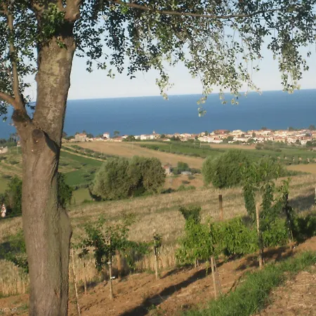 Farm stay L'orso E L'ape