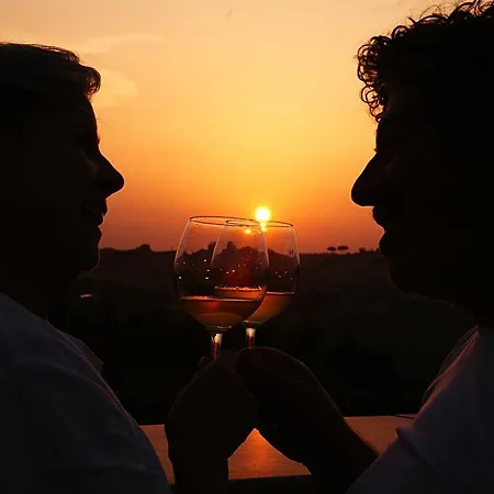 熊与蜂住宿加早餐酒店