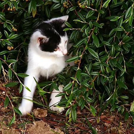农家乐 熊与蜂住宿加早餐酒店