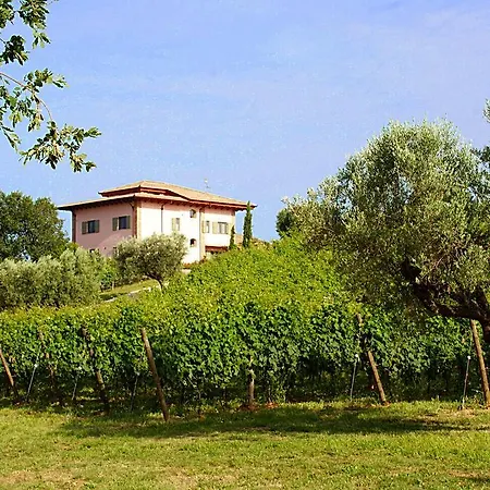 Alojamento de Turismo Rural L'orso E L'ape *