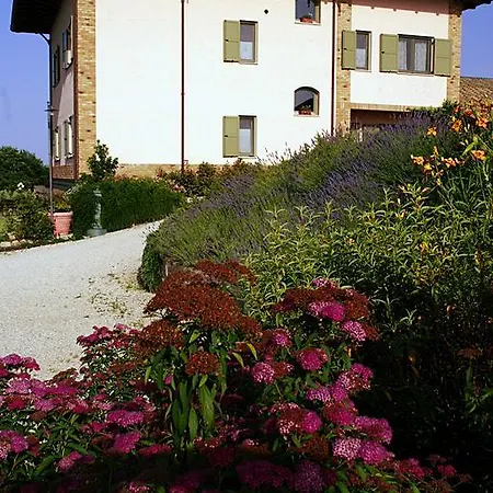 L'orso E L'ape Giulianova