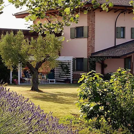 农家乐 熊与蜂住宿加早餐酒店 朱利亚诺瓦