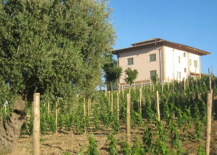 Bauernhof L'orso E L'ape Giulianova