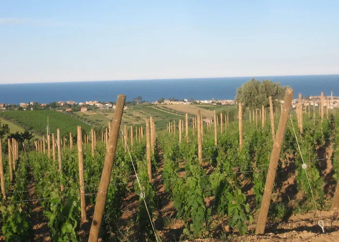 Bauernhof L'orso E L'ape *