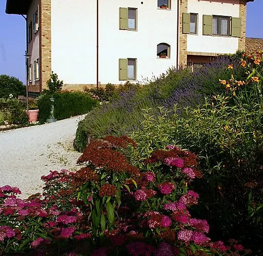 L'orso E L'ape Giulianova