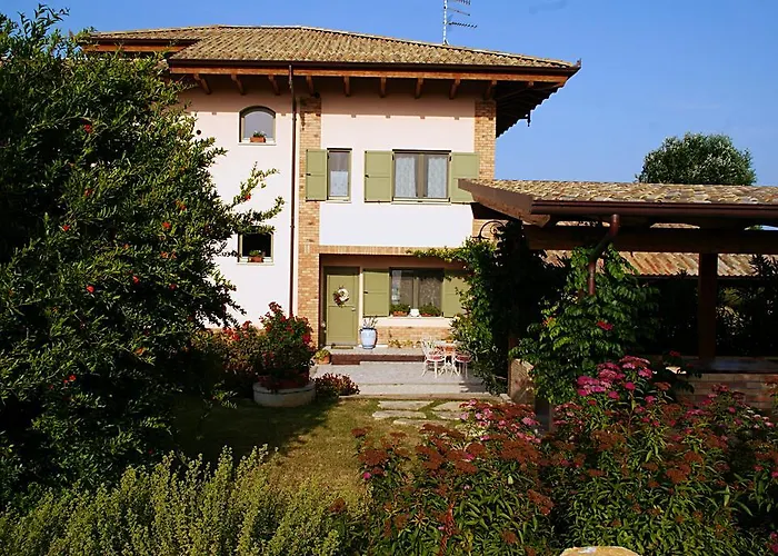 L'orso E L'ape Giulianova